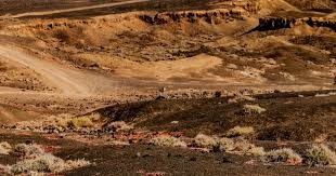 体育博弈：解析“网球博彩”中的心理波动——为什么领先一盘后最容易翻车？（网球博彩的心理学：为何先赢一盘更容易被逆转？）